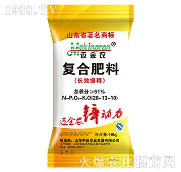 ��(f��)�Ϸ����L(zh��ng)Ч���28-13-10-�~���r(n��ng)-�����r(n��ng)�I(y��)