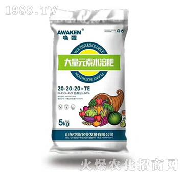 ����Ԫ��ˮ�ܷ�20-20-20-�����r(n��ng)�I(y��)