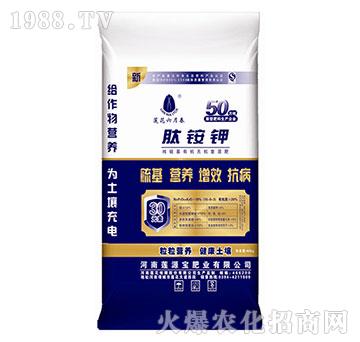 ���@�-ɏԴ��