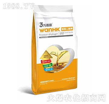 �|̦�����-�f�ݿ�