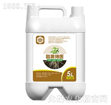 ���S���t(y��)�������������ã�-��ֲ(li��n)��