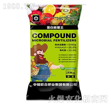 ����������-��ֲ(li��n)��