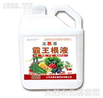 ������Һ-��������