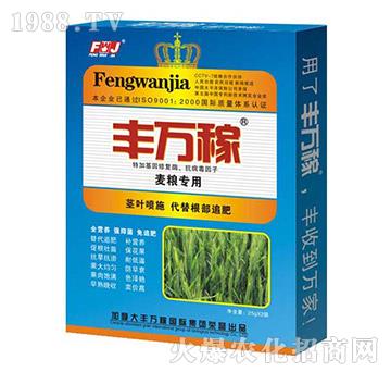 麥糧專用肥-促控抑菌防病營(yíng)養(yǎng)增產(chǎn)化控劑-豐萬(wàn)稼