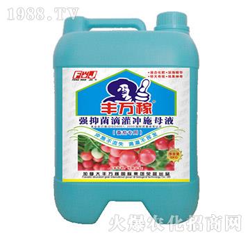 番茄專用強(qiáng)抑菌滴灌沖施母液-豐萬稼