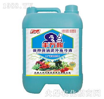 廣譜通用型強(qiáng)抑菌滴灌沖施母液-豐萬(wàn)稼