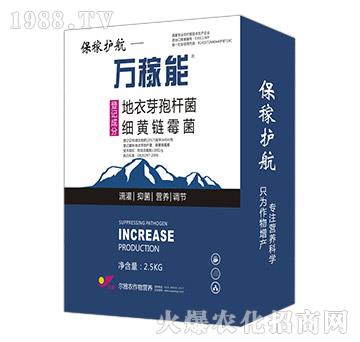 �����o��-�f����-Ǭ�r(n��ng)