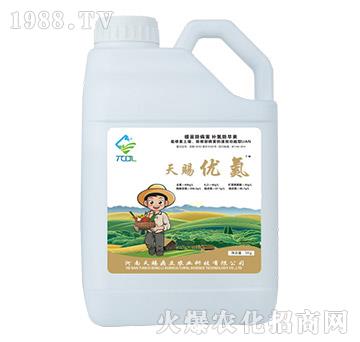 ���n��(y��u)��-���n����