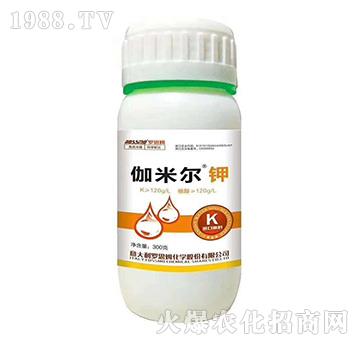 ٤�נ��-�_˼ķ-ľ�̼ь�