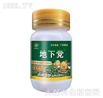 土豆高產(chǎn)王-地下黨-木禾佳寶