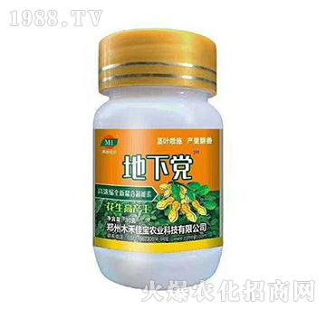 花生高產(chǎn)王-地下黨-木禾佳寶