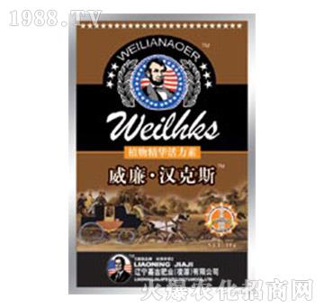 ֲ�ﾫ�A������-�������h��˹-�μ�