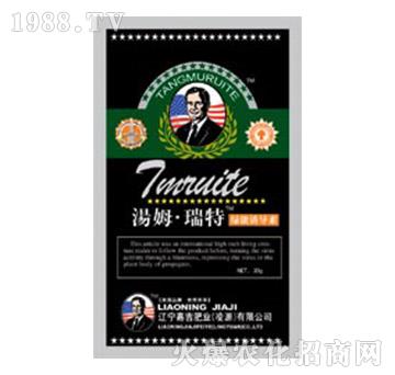 �G���T��(d��o)��-��ķ������-�μ�