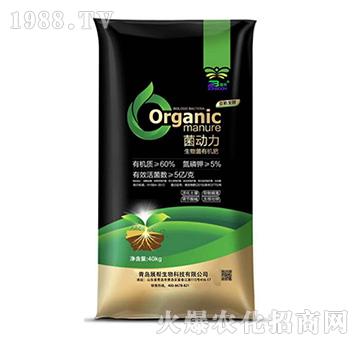 ����(d��ng)��-չ������