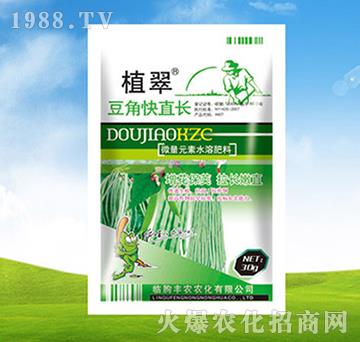 豆角快直長-植翠-豐農(nóng)農(nóng)化