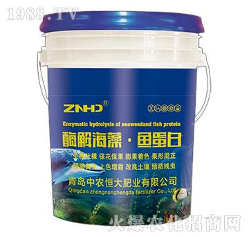 酶解海藻·魚蛋白-中農(nóng)恒大