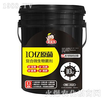 ��(f��)��΢�������-10�|ԭ��-�f��