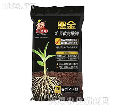 �VԴ�S�����-�ڽ�-�f��