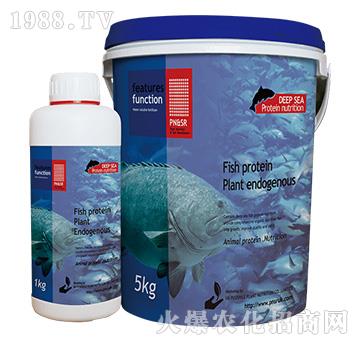 艾瑪仕·小分子肽魚蛋白肥-陽(yáng)光綠健