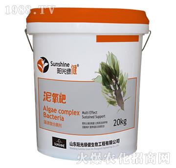 藻源復(fù)合菌劑-泥氧吧-陽(yáng)光綠健
