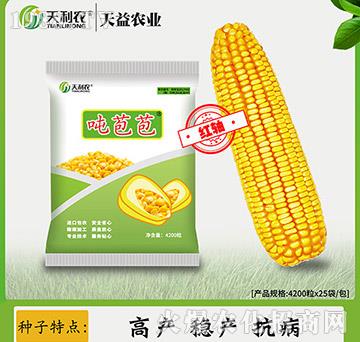 ���ׇ�����-�����r(n��ng)