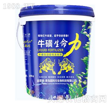 ����������-�@��Ԫ