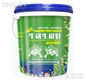 ����������-�@��Ԫ