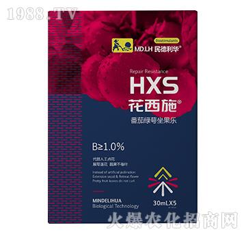 ���ѾG��������-����ʩ-������A