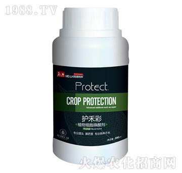 ֲ�：(x��)�����ф�-�o(h��)�̲�-������A