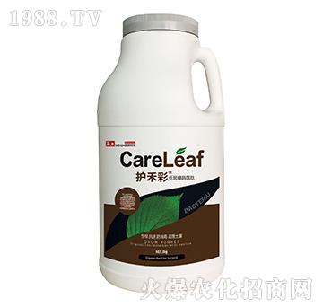 �;���ø����-�o�̲�-������A