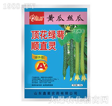 黃瓜絲瓜頂花綠萼順直靈-綠洲豐-鑫星