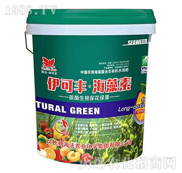 ̼ø������������-�����S��������-����