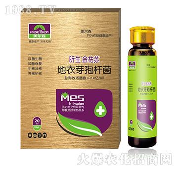 昕生金枯蘇（組合）-美爾森