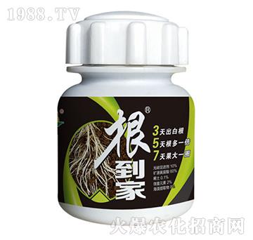 ������-�_��ţ