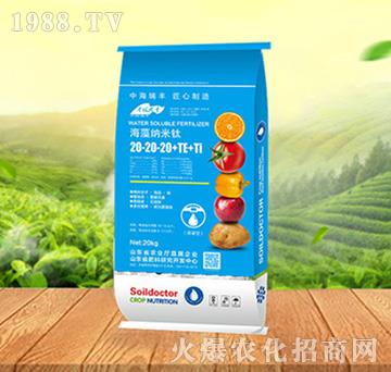 ����{����20-20-20+TE+Ti-���ԁ��