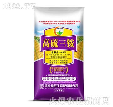 ��������24-13-1