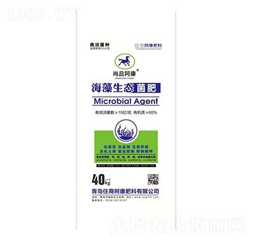 �������B(t��i)����-ס��