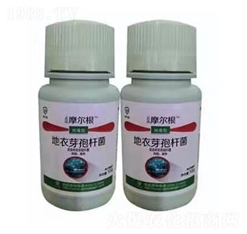 ����ѿ�ߗU��-Ħ����