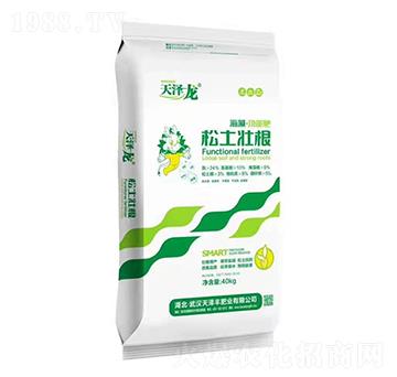 ���塤���ܷ�-�����Ѹ�-�����