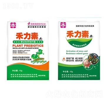 �߲˹��(l��i)�־��x(ch��ng)����-�S������