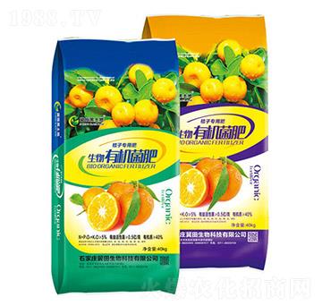 ���ӌ�(zhu��n)�������ЙC(j��)����-��������