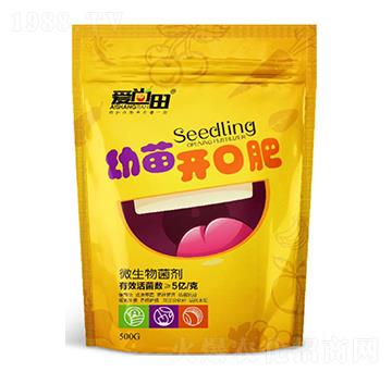 �����������_�ڷ�-�������