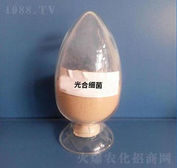 ��ϼ�(x��)����Һ�w��-��������