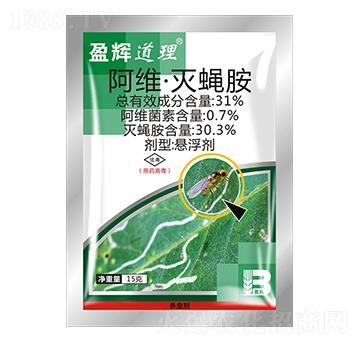 31%���S����ω���Ҹ�����15g��-ӯ�x����-ӯ�x