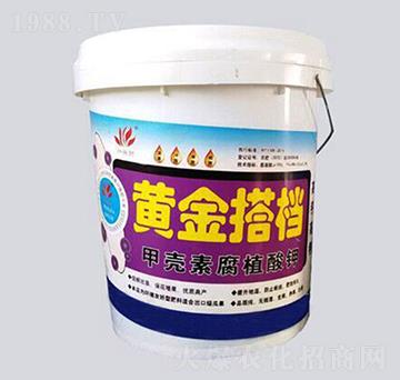 �ך��ظ�ֲ���-�S���n������