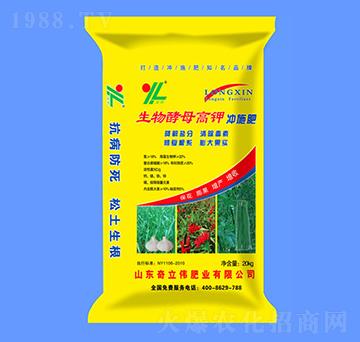 �����ĸ��⛛_ʩ��-������