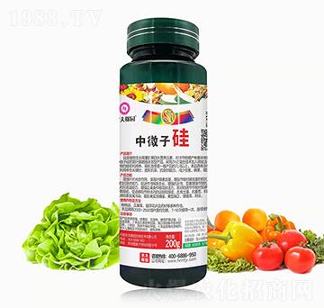 中微子硅-農夫稼園