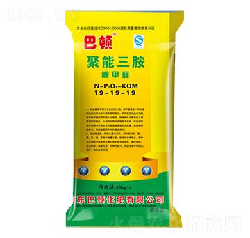 ��������19-19-19-���D