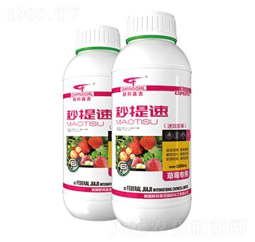 ��ݮ������Ч�����-������-(li��n)��μ�