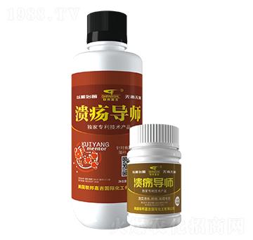 潰瘍導(dǎo)師-聯(lián)邦嘉吉